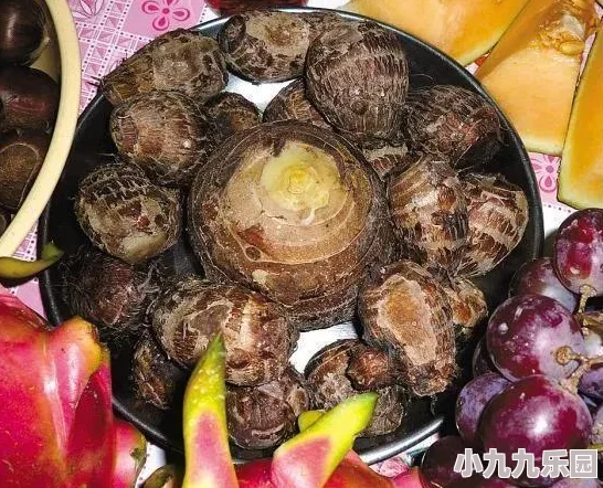 月圆之夜愿望之夜皇后挑战攻略：全面解析如何顺利通关技巧与策略